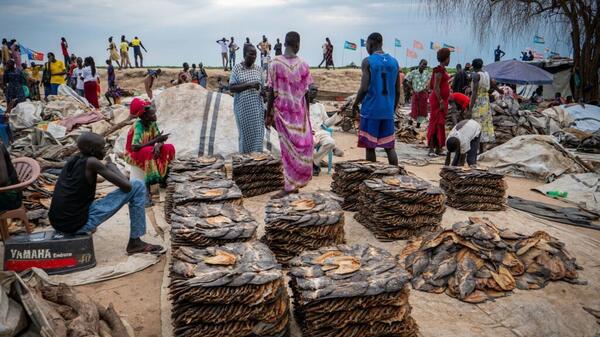 P1080157 2722756802 (1)