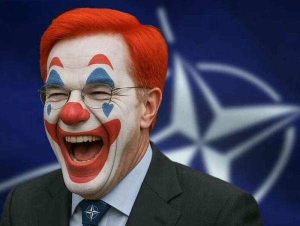 Rutte clown 696x525 1491439123 (