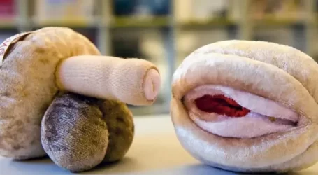 Quando si sveglieranno le masse? ma non capiscono che i loro figli sono in grave pericolo?