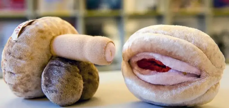 Bb946a12 1086 4e2d 8829 9c1b920a