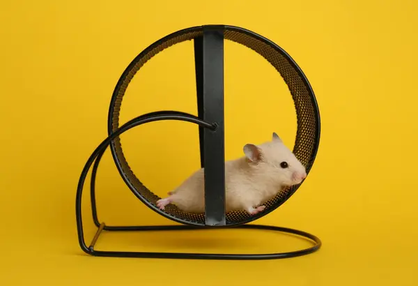 F38fd0a2 9de8 452a ab70 ebf9454d