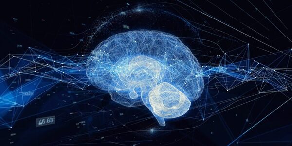 Integrated information theory