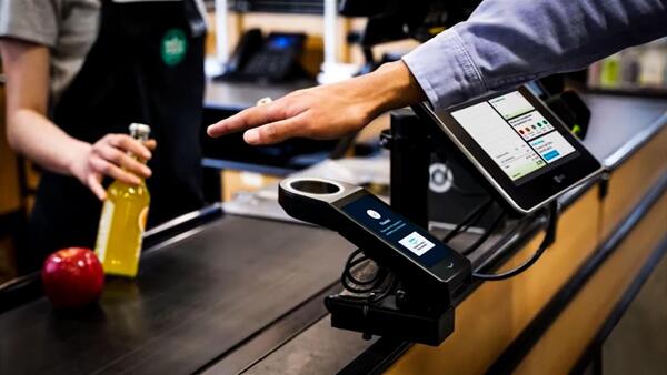 Palm tech scaled 561713985 (1)