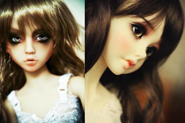 Terrapapers.com orgonodrome para (4)