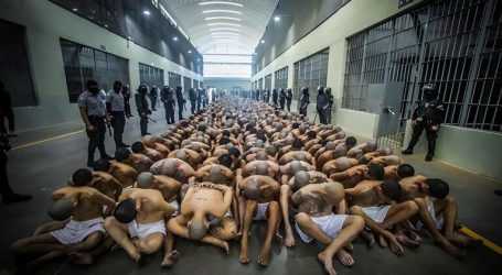 ICE, IDF e lo Stato Palantir: El Salvador è stata la prova generale