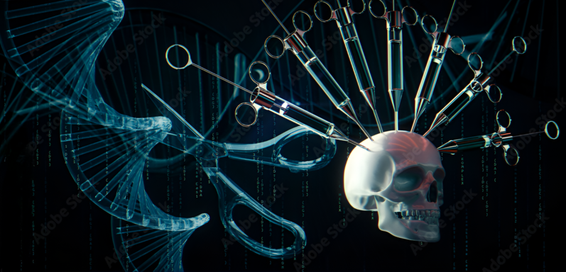 1000 F 428499422 VjJZnR00UIxreNw (1)