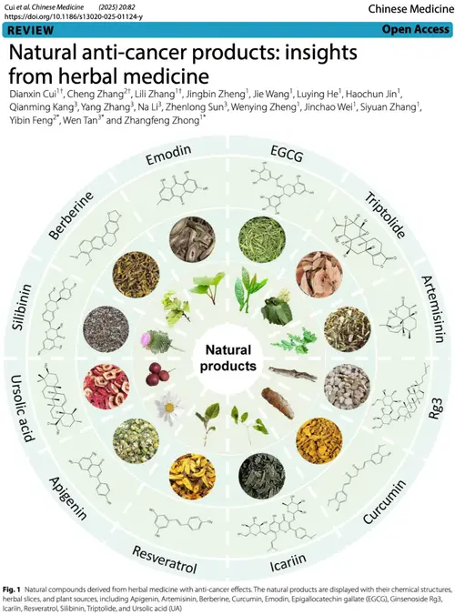 1f40d15b ece2 48fe 93b2 65f5dd59