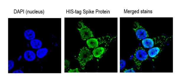 53634f33 299d 435f 8e73 d37ca8500831 602x267