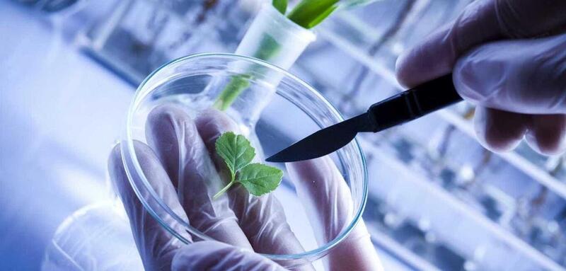 624554ee0faf567fa39fa8dd naom