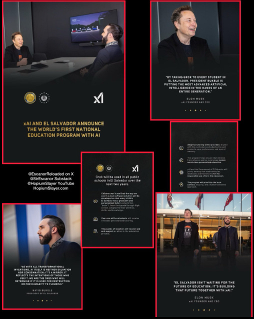 645db325 b2dd 4071 80dc 3e65722096e8 508x638