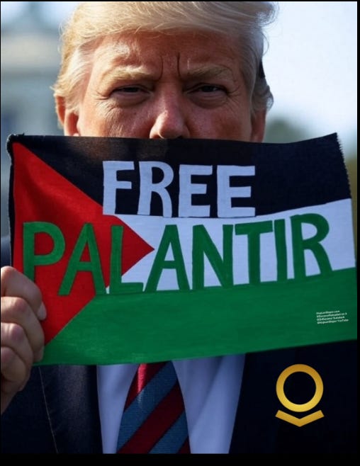 6aebec64 cac0 4bbf 820b 5fdcbdc364ce 508x658 (1)