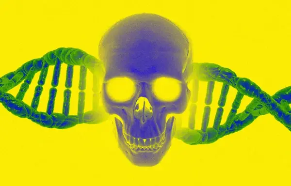 90c2bdb1 a227 4dac 97ab c9618edf