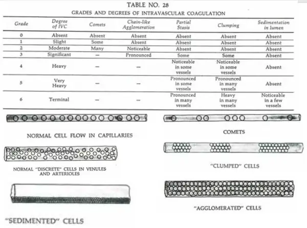 95863073 2c38 482b abc6 1379d863