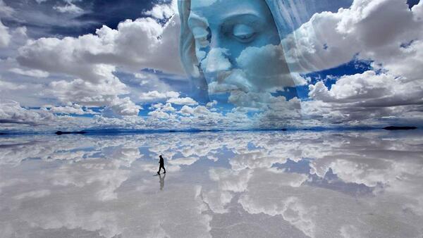 Anima 3120781609 (1)