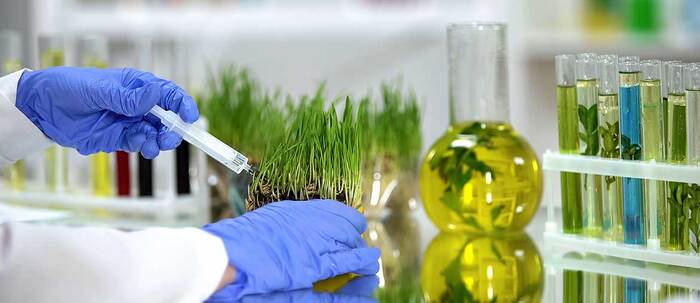 Rennovacia udobrenia (1)