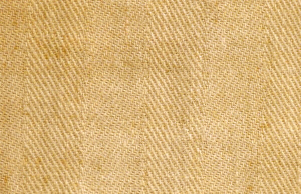 ShroudofTurinfabricweavedetail 7 (1)