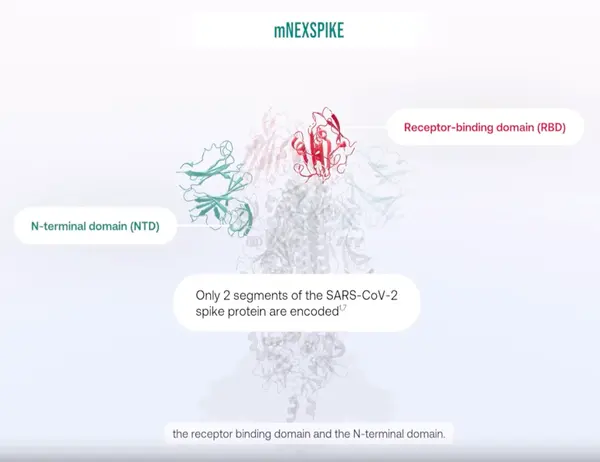 A5974bd4 e963 4395 8347 57dafd50 (1)