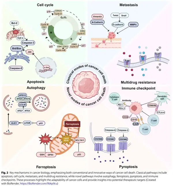 Aa426a0e a411 4b5d 804c 9706ba82