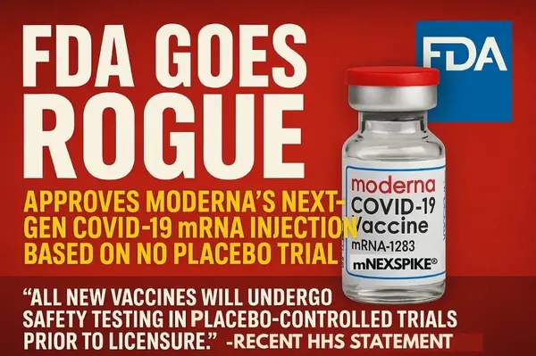 Bce9698c 3506 41e1 9e4d c411787e (1)