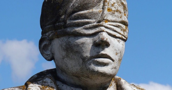 Codardia 3289263766 (2)