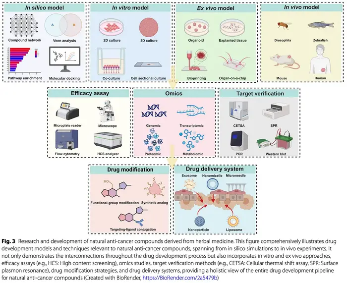 D367b078 8342 4c39 ab45 e0941072 (1)