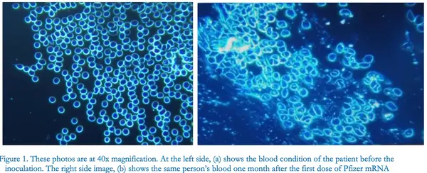 Fab48cf7 74d9 462b 8ea2 7f3e8841