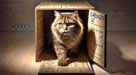 Quantismo paradossale di una branca della scienza fantastica e ancora tutta da scoprire