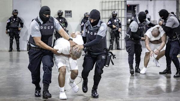 L84120250318181753 665306203 (1)