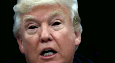 Trump, la caduta definitiva di questo Paese e la schiavitù di massa che ne seguirà