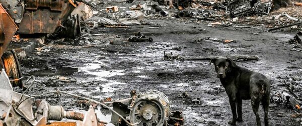 Banner credit Aris Messinis AFP