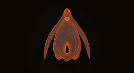 Clitoris wireframe 4124750033 (1 (1)