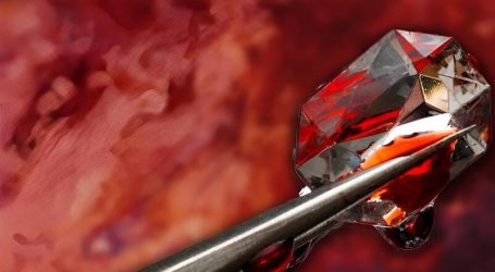 Diamanti insanguinati: come il tuo anello di fidanzamento contribuisce a finanziare un genocidio a Gaza