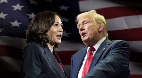 L’idea che i politici “lavorino per il popolo” è  di per sé ridicola