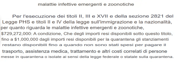 Screenshot micio (1)