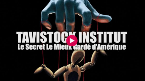 ScreenshotFGFSDGD (1)