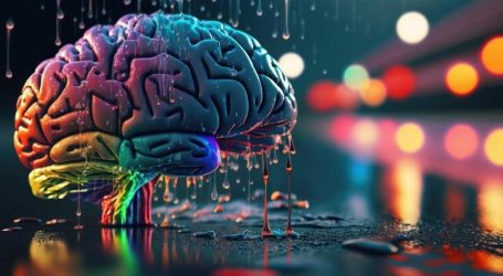 Le persone hanno abbandonato (perso) ogni logica e ragionevolezza