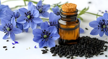 Il miracolo del seme nero (Nigella Sativa): la pianta curativa più potente in natura