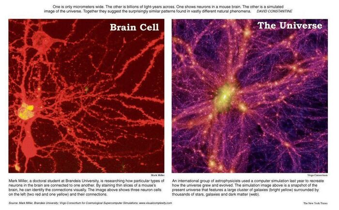 Brain cell universe (1)