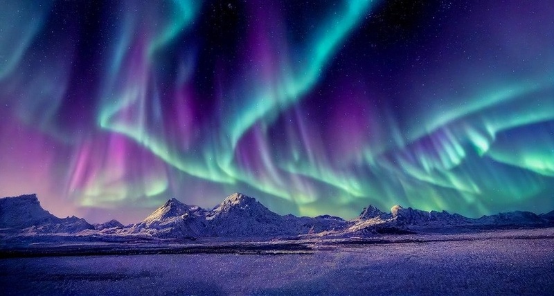 Logoremover 1771546692863 (1)