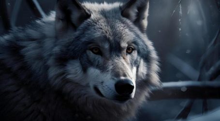 Il vostro supporto è fondamentale per dare seguito al nostro lavoro