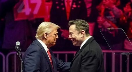 Trump musk 642761713 (1)