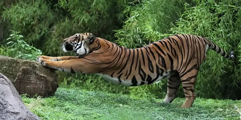 Wp3973579 1212362782 1 (1) (1)