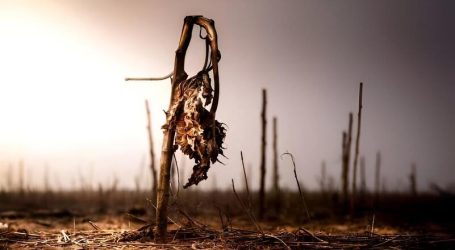 Follia, debiti, aumenti illimitati del prezzo del petrolio, carestia e guerra aggressiva