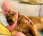 Il potere curativo della compagnia: come i cani possono influenzare la sopravvivenza dei pazienti oncologici