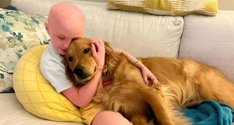 Landscape Images Majically4 (1) (1)