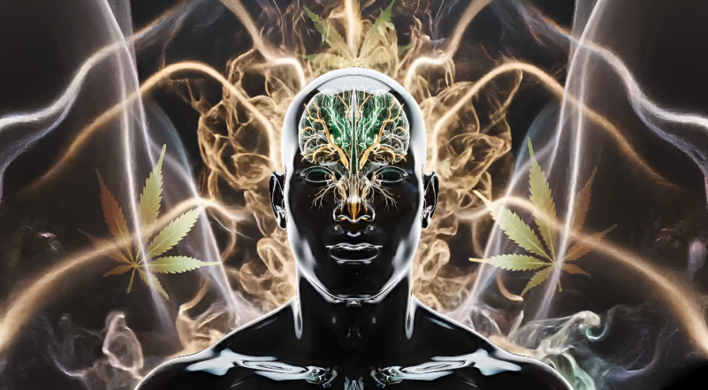 Screenshotsss (1) (1)