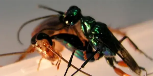 D6e5a0f2 bf1f 4d13 b2a4 2ec918ff (1)