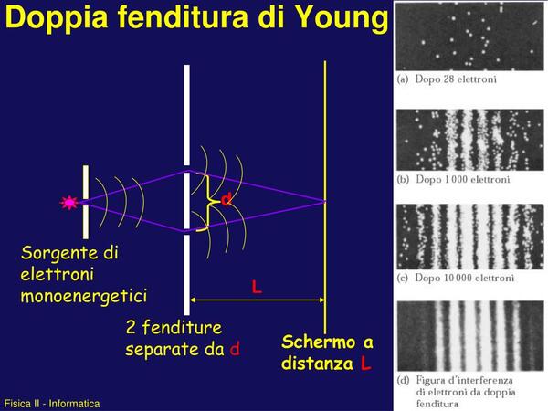 Doppia fenditura di young l