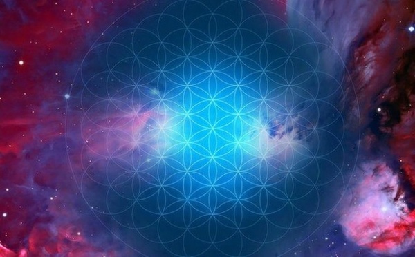 Logoremover 1774566604010 (1)