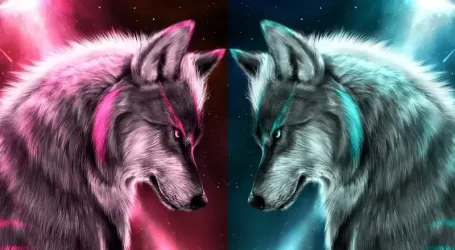 Wolves pictures eujdhvejrak1al3o (1)